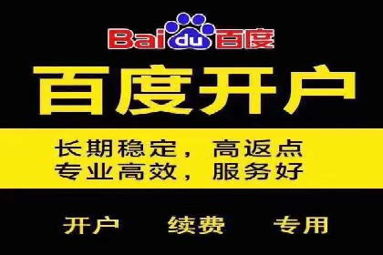 百度广告竞价效果评估：某知名品牌的投放效果分析